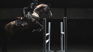 HampM Life  Sports Studio Horse Jumping with Malin Baryard [upl. by Liek]