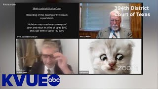 Texas attorney gets stuck with cat filter on Zoom  KVUE [upl. by Yeltrab]