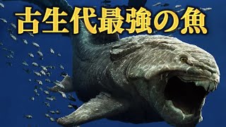 ダンクレオステウスの生態とは？｜頭の鎧は本当に保護用だったのか？ [upl. by Muna]