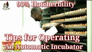 How to set amp operate an Automatic egg incubator  How to set up a hatchery [upl. by Nodab941]