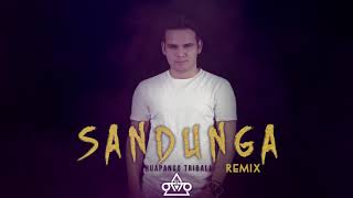 Sandunga  Dj Otto Huapango Tribal 2019 remix [upl. by Powers636]