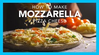 How to make mozzarella pizza cheese [upl. by Pulling674]