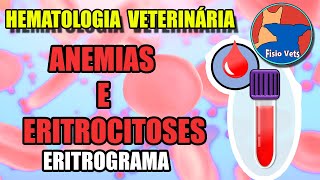 Interpretação do hemograma  Eritrograma Parte 1  Medicina veterinária [upl. by Sherri]