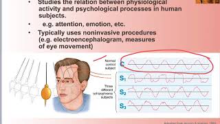 15 Biopsychology Divisions [upl. by Granniah86]