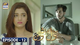 Mera Dil Mera Dushman Episode 12  ARY Digital Drama [upl. by Nnayar]