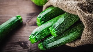 Recipes for Zucchini  15 Easy Zucchini Recipes [upl. by Rainer862]