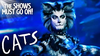 Jellicle Songs for Jellicle Cats  Cats The Musical [upl. by Forward]