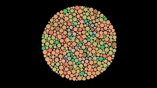 Colourblind Test  Can you see every colour [upl. by Ojimmas]