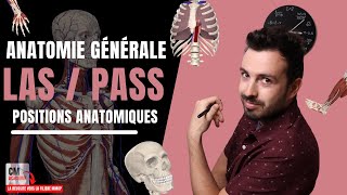 ANATOMIE GENERALE 🦴  Les positions anatomiques crânien caudal medial latéral proximal distal [upl. by Orpha]