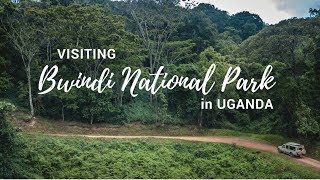 Exploring Bwindi Impenetrable National Park  Gorilla Safari Lodge  Uganda [upl. by Jena]