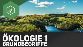 Grundbegriffe der Ökologie  Ökologie 1 [upl. by Nalat]