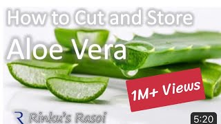 How to Cut and Store Aloe Vera  RinkusRasoi [upl. by Nivlag]