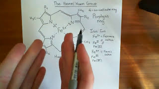 The Heme Group and Hemoglobin Part 1 [upl. by Gnap658]