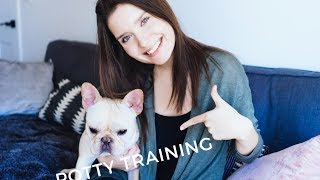 How to Housebreak and Crate Train a Puppy in 3 days  In steps  Advice from a Dog Trainer [upl. by Augustina]