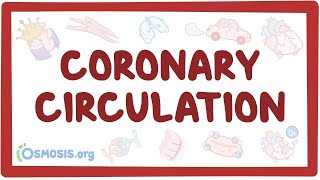 Coronary circulation  an Osmosis Preview [upl. by Ecissej]