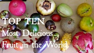 Top 10 Most Delicious Fruits  Weird Fruit Explorer Ep 102 [upl. by Remark]