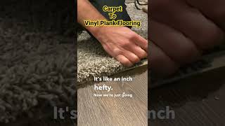 How To Transition Carpet To Vinyl Plank Flooring [upl. by Aelam]