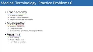 Medical Terminology  The Basics and Anatomy  Practice Problems Set 1 [upl. by Colas632]