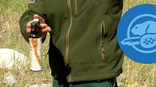 How to Use Bear Spray  Banff National Park [upl. by Akinej]