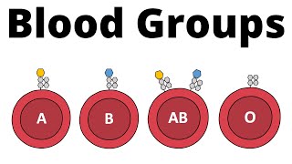 ABO Blood Group System AB0 Blood types amp compatibility explained [upl. by Copeland672]