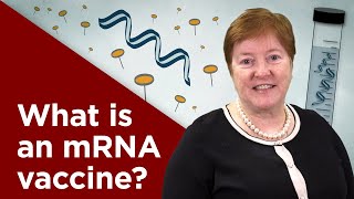 What is an mRNA Vaccine [upl. by Kilan]