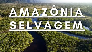 Amazônia Selvagem  Berço da vida  Documentário dublado HD [upl. by Tartan]