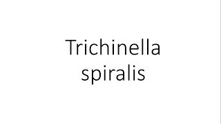 Trichinella spiralis  Parasitology [upl. by Averell920]