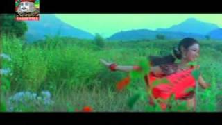 Pabana re Pabana Oriya track Babu I Love U [upl. by Gyasi394]