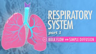 Respiratory System Part 1 Crash Course Anatomy amp Physiology 31 [upl. by Lemmuela]