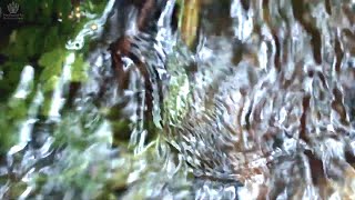 BABBLING BROOK  Water Sounds  Nature Sounds  Sleep Meditation  Calming Music  ASMR  асмр [upl. by Neeuq]