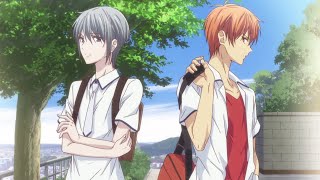 Fruits Basket All Openings Seasons 13  1080p Creditless [upl. by Brechtel184]