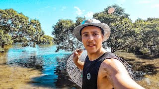 Solo Exploring for MUDCRABS amp Fishing Remote Australia  Catch n Cook [upl. by Retsof]