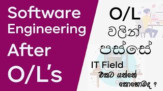 How to get into IT field after OLs  Software Engineering after OLs [upl. by Htnicayh]