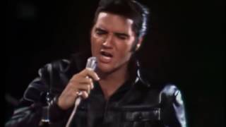 Elvis Presley  Heartbreak Hotel Hound Dog amp All Sook Up 1968 Comeback [upl. by Rushing]