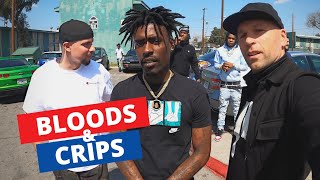 Inside LAs Most Dangerous Hoods  Meeting Bloods amp Crips 🇺🇸 [upl. by Perot]