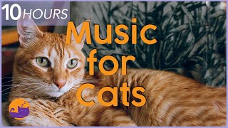 Music for Cats  10 hour Relaxing Cat Music Playlist to Help Cats Sleep and Relax 🐱 [upl. by Quintessa292]