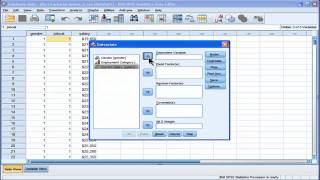 Two Way ANOVA  SPSS part 1 [upl. by Nywroc]