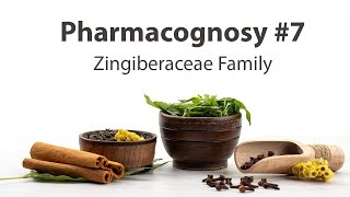 7 Zingiberaceae Family  Pharmacognosy [upl. by Eimmot]