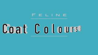 Feline Colours and Patterns  Variations [upl. by Ahsile]