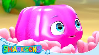 Jelly Jellyfish Song  Videos for Kids  Nursery Rhymes amp Kids Songs  The Sharksons [upl. by Wiebmer]