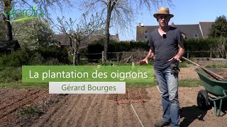 Comment PLANTER les OIGNONS [upl. by Armallas]