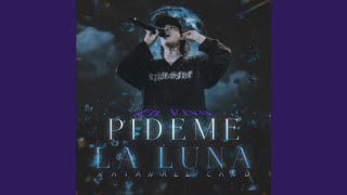 Pideme La Luna [upl. by Ceciley]