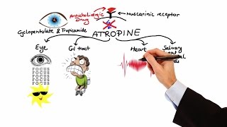 Pharmacology  ANTICHOLINERGIC amp NEUROMUSCULAR BLOCKING AGENTS MADE EASY [upl. by Ayikahs292]