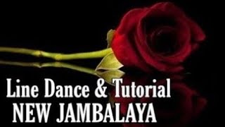 NEW JAMBALAYA  Line Dance Dance amp Tutorial [upl. by Aneehsit]