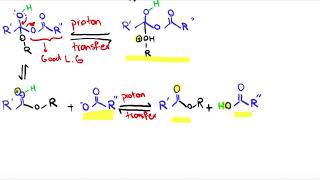 Acetylation Reaction MechanismOrganic Chemistry [upl. by Gristede308]