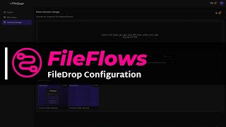 FileFlows FileDrop Configuration [upl. by Aneehc]