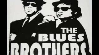 Blues Brothers  Flip Flop amp Fly [upl. by Hayifas]