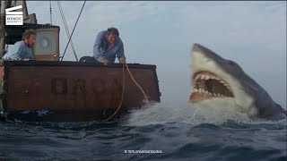 Jaws 2 Brody to the rescue HD CLIP [upl. by Marjorie]