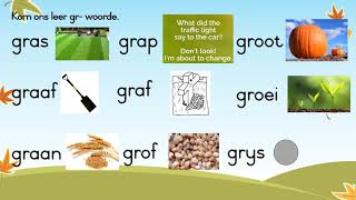 Graad 2 Afrikaans Huistaal Kw 2 Les 7 [upl. by Snahc]