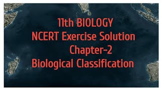 NCERT Exercise solution Chapter2 Biological Classification [upl. by Benn754]